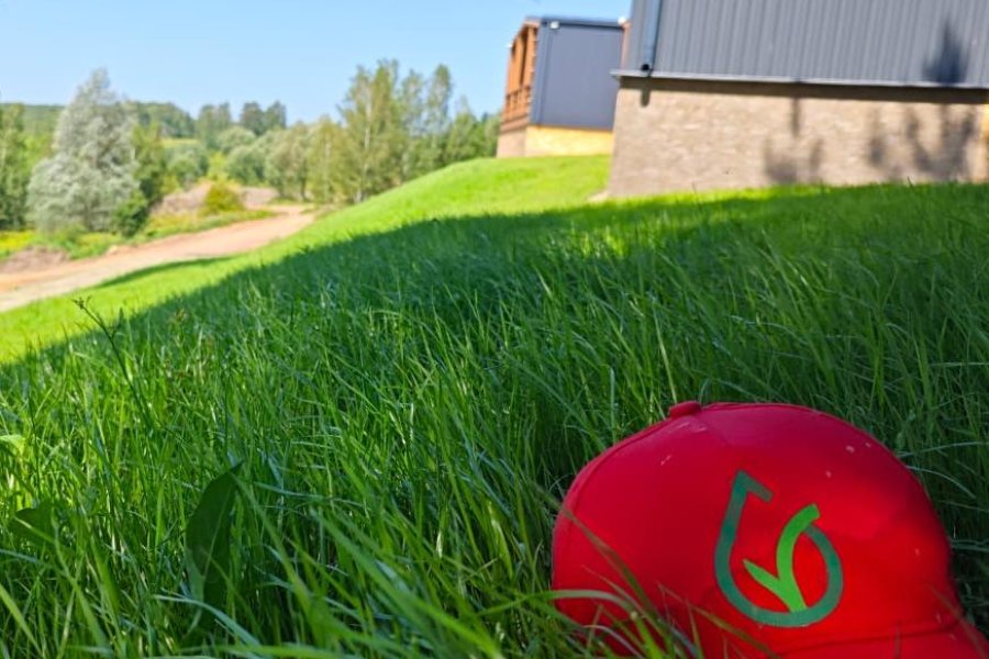 Профессионалы ландшафтного благоустройства