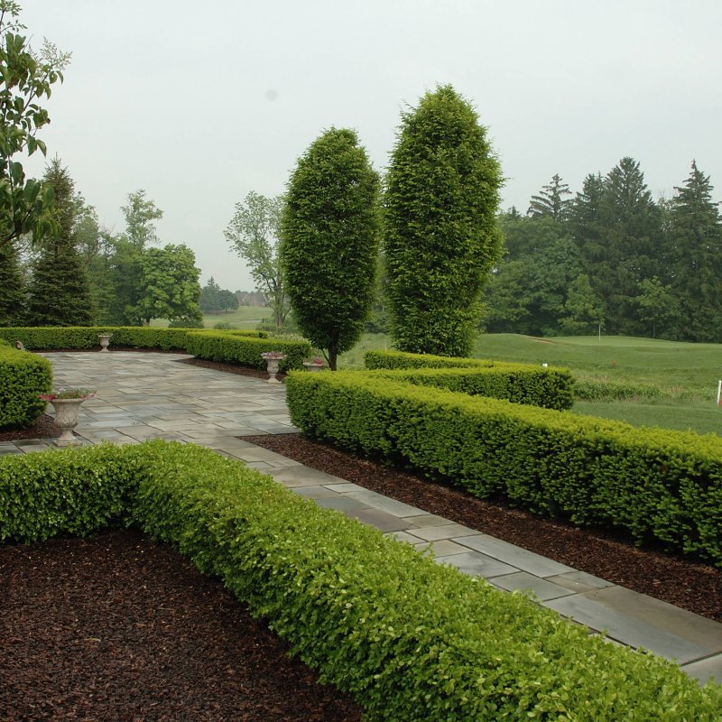 Уходовые работы